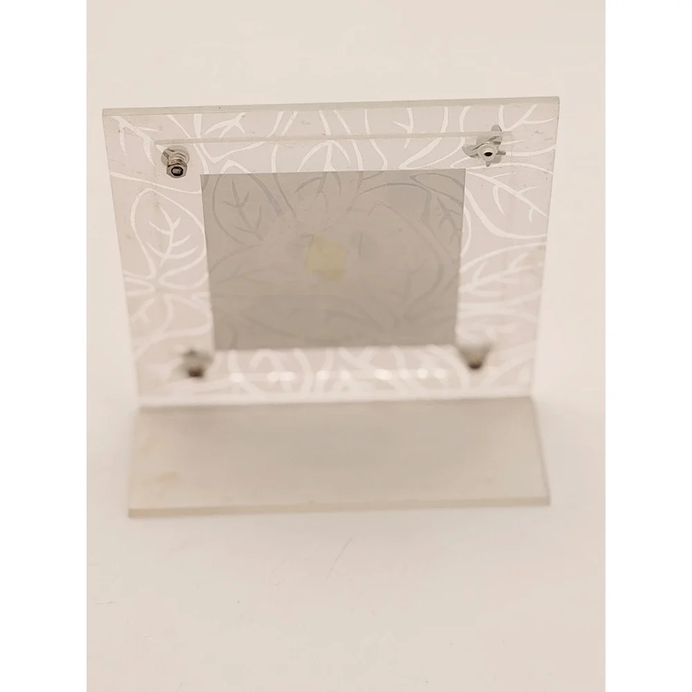 Frosted Acrylic Picture Frame with Metal Bug Accents Butterfly Bee Frog Panda